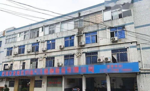 東莞一工廠遭遇“螞蟻搬家式”盜竊，12萬(wàn)元清真食品不翼而飛，疑有內(nèi)鬼參與