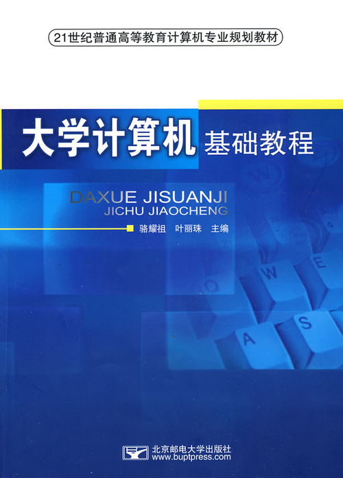 探索計算機科學的核心使命 從軟件開發(fā)到網(wǎng)絡(luò)安全的多元目標